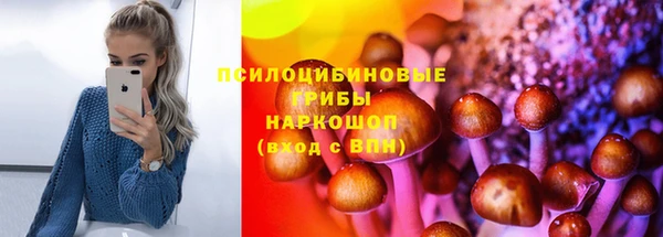 мяу мяу мука Кострома